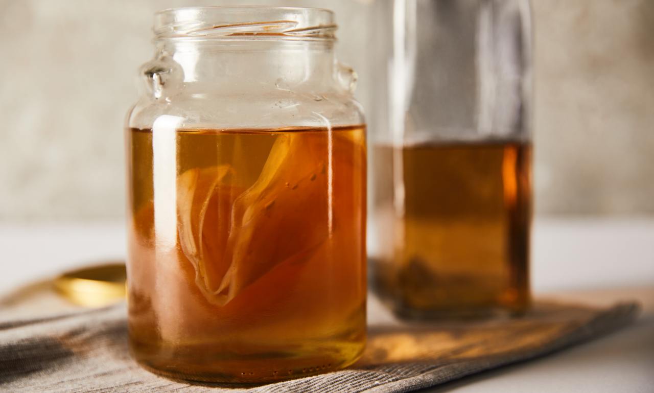 kombucha scoby