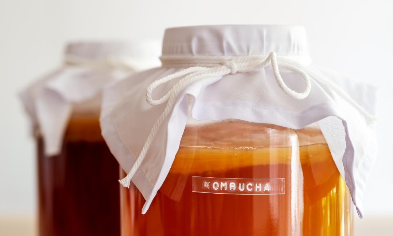 Kombucha mushrooms recipe